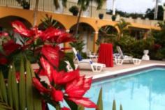 Mandeville Hotels/Resorts