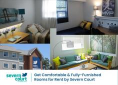 Severn Court offers fully furnished and comfortable rooms for rent to students of Sir Sandford Fleming College, Seneca College Aviation & Trent University. We are students' best choice for off-campus housing. Contact us to schedule a tour.