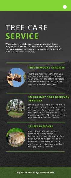 Branching Out Tree Service is a full service residential & commercial tree service company based in Atlanta, Georgia and pride ourselves on quality craftsmanship and guarantee your 100% satisfaction
