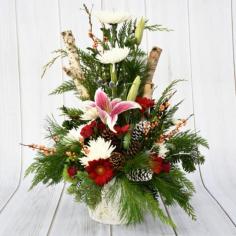 THIS WHITE BIRCH POT CENTERPIECE WILL BRING CHEER TO YOUR HOME WITH ITS FESTIVE CHRISTMAS INSPIRED FOLIAGE AND FLOWERS LIKE THE STARGAZER, MINI GERBERA AND FUJI MUMS

