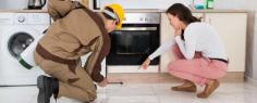 Selecting The Best Pest Control Services In Gurgaon For Getting Rid Of The Issues