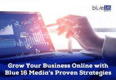 Blue 16 Media is the name you can count on when looking to hire SEO services in Virginia. We have the experts and expertise to meet your unique business promotio needs. For more details, call us or visit our website. 