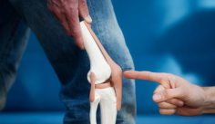 Browse through the list of trusted orthopedic specialists in Florida. We do all the hard work for you, so you can easily find the proper medical care that you need. Visit clickaccident.com now!