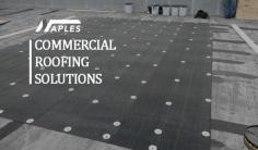 Are you also worried about your commercial & industrial roofing?? Well, we are here to help you out, whether it’s a roof repair, a replacement or an entirely new roof. We are certified roofing contractors & we provide you solutions for your every issue of commercial roofing.

Visit: https://naples-roofing.com/

Contact Us:

Email: jamesnaples@hotmail.com  

Phone: (716) 715-0756


