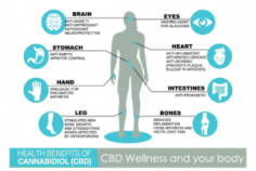 CBD is a natural organic compound that is extracted from the Cannabis plant. It is used to make multiple remedies. It has great benefits. CBD is very beneficial that helps to get rid of anxiety or depression, Insomnia, for women's health problems.
If you want to know its benefits then read CBD oil health benefits.
