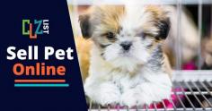 
If you own a pet store, you can market this pet through online marketing. Post your content on clzlist where your Store can be seen by a much larger audience, especially if you’re just starting out. It allows you to promote your store and products to a bigger audience....

Visit for more info: https://www.clzlist.com

Contact us: 

Email: info@clzlist.com 


