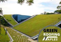If the roof of a building is covered with plants and grass then it is a green roof building. Green roof are the capability to manage the storm water, environmentally friendly, appealing appearance and of course helps in providing insulation for your commercial building.

Benefits of Green Roofing:

•	It improves air quality.
•	Reduce the heat and to maintain the temperature. 
•	It is also beneficial for human health.
•	During heavy rainfalls it helps in protecting the top of the building from any damages.

Read more: http://naples-roofing.com

Contact Us:

Email: jamesnaples@hotmail.com  

Phone: (716) 715-0756
