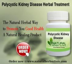 Herbal Treatment for Polycystic Kidney Disease read the Symptoms and Causes. Polycystic Kidney Disease is a genetic disorder that causes many fluid-filled cysts to grow in your kidneys.
