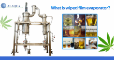 A wipe film evaporator is a rotating wiper system that distributes a raw product to a film. Ideally, the wiping system accelerates the evaporation process as it keeps the film turbulent to ensure that both mass transfer and heat transfer are optimized.