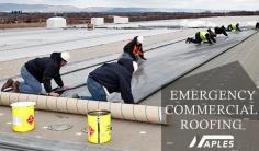 
THE REASONS OF CHOOSING THE CERTIFIED CONTRACTORS FOR COMMERCIAL AND INDUSTRIAL ROOFING
https://naplesroofingcompanies.blogspot.com/2020/08/the-reasons-of-choosing-certified.html

Email: jamesnaples@hotmail.com  

Phone: (716) 715-0756

