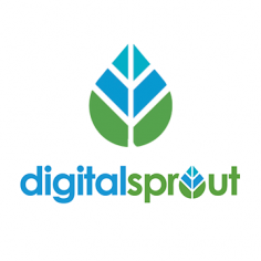 Digital Sprout is a top Annapolis Web Design company. Get a creative, responsive & modern looking website for your business and impress your customers. Contact us today! 

Visit: digitalsprout.co