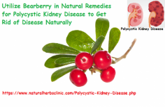 Bearberry is another useful herb element for Natural Remedies for Polycystic Kidney Disease patients and it has superior effects on healing urinary tract infections as well as preventing cyst infection and kidney infection.