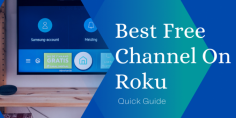 Roku is an online media streaming player that offers thousands of channels like TubiTv, Netflix, Project Free TV, PBS Kids, etc. These are some of the best free channels on Roku so now you can start streaming your favorite content for free. And make most of it out of your Roku device. https://bit.ly/3jLiqlO