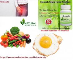Natural Remedies for Hydrocele is one of the most successful natural ways for hydrocele to treat. A man requiring Herbal Treatment for Hydrocele with natural remedies experiences bruised pain in the scrotum and testicles.