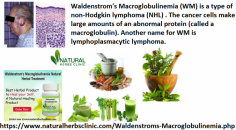 Give yourself support and faith the Natural Remedies for Waldenstrom’s Macroglobulinemia are the life partner necessary for you if the infection has interfered in your life and has destroyed your health.
