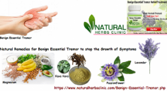 Benign Essential Tremor is a neurological condition that causes a part of your body to tremble nonstop. The shaking is known as tremors. This condition can be completely controlled with Natural Remedies for Benign Essential Tremor without any side effects.
