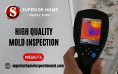 Mold Removal Inspection Services

Our certified mold inspector identifies the problem first and then works with care to rescue the affected area to restore its normal conditions. Call us at 248-933-7807 for more details.