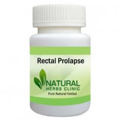 Herbal Treatment for Rectal Prolapse read the Symptoms and Causes. Rectal Prolapse occurs when part of the rectum becomes stretched and protrudes from the anus. It may occur in childhood or in the elderly.
https://www.naturalherbsclinic.com/product/rectal-prolapse/