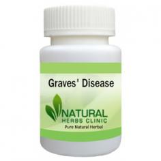 Herbal Treatment for Graves' Disease - Natural Herbs Clinic
Herbal Treatment for Graves&#039; Disease read about Symptoms and Causes. Graves&#039; Disease is an autoimmune disease that leads to a generalized overactivity of the whole thyroid gland.
https://www.naturalherbsclinic.com/product/graves-disease/

