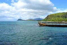 Electric Beach is one of Oahu's top spots to snorkel! Located on the pristine Hawaiian coast of the west side of Oahu. We tell you everything you need to know about coming here, and if you should come snorkel here, or electric beach. 
Find more info here: https://www.youtube.com/watch?v=T-oBLDm2zuw

Please drop a like to support our family and subscribe for weekly adventures around Oahu! 