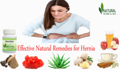 Aloe Vera is soothing and anti – inflammatory agent which is often recommended as a Natural Remedies for Hernia for people who struggle with the pain caused by hernia.