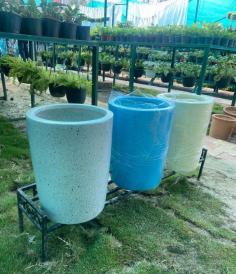 Buy Flower Pots Online #newdesign #potsandplants #colour #trending #indoor #outdoor #suryanursery #flowerpots