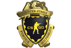 Counterstrike is a world-famous game highly known for its excellent services and maps. However, medals represent the skills and excellence of a player in the game, and we give you an opportunity to show your skills brilliantly. Simply buy csgo account with medals from us and express your excellence in the game. 
