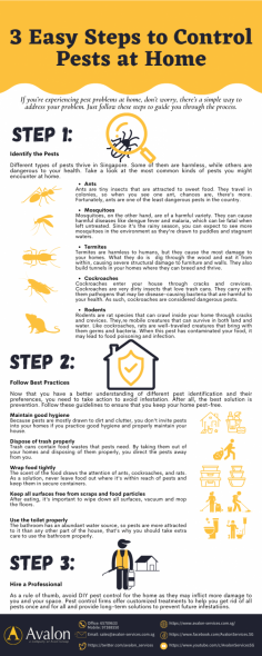 Follow these guidelines to ensure you keep your home pests-free. Hire pest control services to provide the necessary pest control and solutions to eliminate the problem from home.