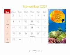 November 2021 Calendar Printable also helps to understand which festivals and events will fall on what days. If you're aiming for a family holiday tour during the festival, then the calendars will help in making all the mandatory arrangements. You’ll also add any special events and birthdays which can remind you at the time of events.