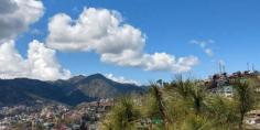 Solan is located 46 kilometres south of the state capital, Shimla. It is known as the “Mushroom city of India” because of the vast mushroom farming in the area as well as the Directorate of Mushroom Research (DMR) situated at Chambaghat.