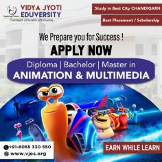animation and multimedia program
