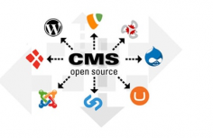 CMS development company providing custom CMS website development services by our expert experienced CMS developers in Mumbai
