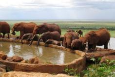 Plan 7 days maasai mara safaris with your family or friends. We are a leading tour operator and ensure client satisfaction. In this tour, you will explore Samburu national park, lakes Nakuru & Naivasha, Massai Mara, and so on.
https://www.pegatours.co.ke/tours/7-days-maasai-mara/