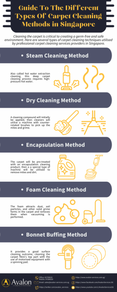 There are many solutions on how to clean carpets by doing it yourself. In this infographic, you'll learn the different carpet cleaning methods that would help your carpet clean, fresh, and look new.