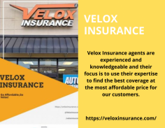 Velox insurance is one of the cheapest insurance providers in Georgia. We are also known for being the best quality services provider in Georgia. We have a broad range of insurances, like Vehicle insurance, Property insurance, business insurance, etc. For more information, visit our official website or call us at 7702930623.