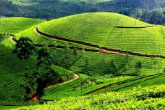 Kerala is the famous state and has something for every kind of traveler from culture vultures and honeymoon couples, to nature-lovers. So if you are interested in Kerala Honeymoon Packages, you are on the right platform! At Wonder World Travels, we can offer you the best travel solution and ensure that with us all your travel worries will be taken care of in the best possible way. 
https://www.wonderworldtravels.com/kerala-packages/