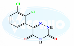 Lamotrigine EP Impurity D
Catalogue No. - VL980008
CAS No. - 661463-79-2
Molecular Formula - C₉H₅Cl₂N₃O₂
Molecular Weight - 258.06
IUPAC Name - 6-(2,3-Dichlorophenyl)-1,2,4-triazine-3,5(2H,4H)-dione
Synonyms - Dioxo Lamotrigine