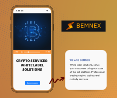 Crypto Services - White Label Solution @ https://bemnex.com/about-us