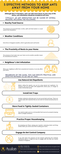 Ants are one of the most common pests you can find at home. Despite their small size, ants can wreak havoc on your home by causing unwanted disruption and contaminating your food. This infographic will help you eliminate ants at home through the help of an ant control company in Singapore.
