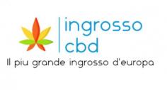 BioPharma is an Italian company that deals with the wholesale of CBD flowers in Europe. We strive to offer only the best high quality products. Read more about us and our products below.  https://ingrossocbd.it/


