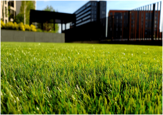 The most important factor to consider when purchasing artificial turf is how much foot traffic the area where you wish to lay down your fake grass will receive. Check out Artificial Grass GB and get to know about the Cost of Artificial Grass UK, and read their blogs on artificial grass cost estimation for your artificial lawn.