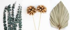 Buy Dried Flowers & Grass Online India | Pampas Grass Decor| Whispering Homes

Have a look at these beauties! Gorgeous variety of exotic dried flowers to make wonderful quality bouquets for your home decor. Radiating vivid hues, these are perfect to liven up any space. Too pretty to gift! https://www.whisperinghomes.com/dry-grass-flowers
#driedflowers #driedflowersonline #driedflowerbouquets #dryflowers #artificialflowers #naturaldriedflowers #pampasgrass #pampas #pampasgrassdecor #color #video #florist #decoration #homedecor #officedecor #whisperinghomes #whisperinghomesdecor #whisperinghomeschandigarh
