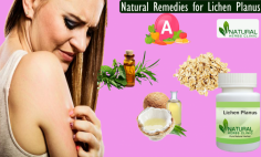 Herbal Supplements and Natural Remedies for Lichen Planus
For creating one among the helpful Natural Remedies for Lichen Planus you ought to add four ounces of burn plant gel and one tablespoon of copra oil. You ought to mix it well.
https://sites.google.com/view/lichen-planus-natural-remedies/home
