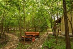 Experience which you have never experienced before by visiting wildlife lodge Bandipur, The windflower resort offers you word class Bandipur safari lodge for an extraordinary experience. If you are coming with your family and friends to Karnataka then visit the windflower resort Bandipur. 