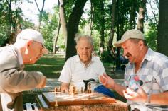 Chess with mates