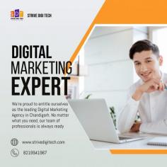 Strive Digi Tech is a digital marketing company in Chandigarh that offers digital marketing solutions, content marketing, online reputation management services and more.