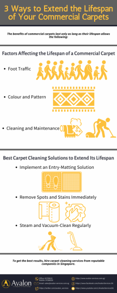 If you want to maintain the quality of your commercial carpets and extend its lifespan. Contact an office cleaning Singapore to help you solve your carpet cleaning problem.
