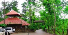 Newlywed couples choose Chikmagalur as their ideal honeymoon destination. If you are also planning for a trip with your better half then don’t forget to book Cheap Homestays in Chikmagalur. It is a beautiful and most visited town situated on the verdant hills that is a much-loved tourist destination in South India.
