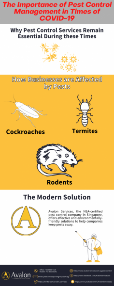 Rodents, cockroaches, flies, termites and fleas are dangerous to humans' health and the business economy.
Avalon Services, pest control services in Singapore is providing high-quality solutions to addressed pest-related issues.

Source: https://www.avalon-services.com.sg/the-importance-of-pest-control-management-in-times-of-covid-19/