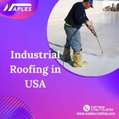  Insulation, decking, protective coating, and reflective coating are just a few elements that go into constructing a commercial roof. Visit- https://naples-roofing.com 
